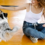 Владелец питомца за компьютером с собакой рядом