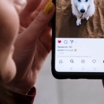 Современные интерактивные игрушки для домашних животных в 2025 году