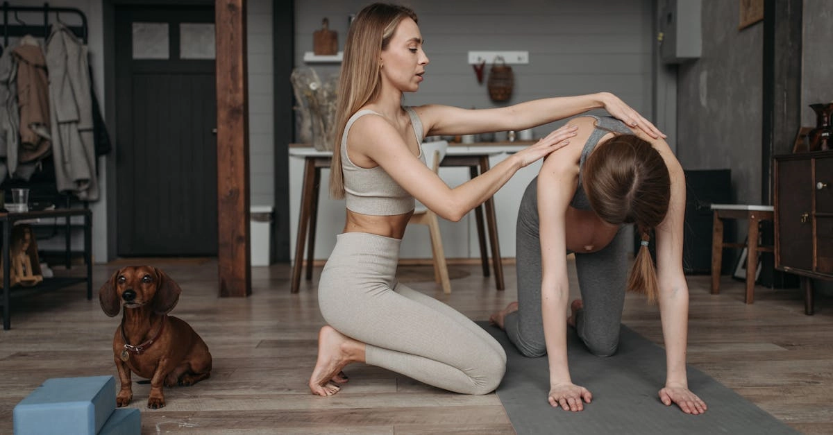 Владелец с питомцем за компьютером, баланс досуга и заботы