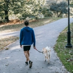 Владелец питомца отдыхает за игровыми автоматами онлайн