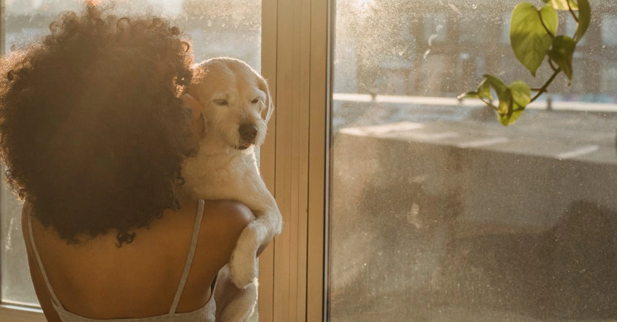 Владелец питомца отдыхает с планшетом рядом с домашним животным