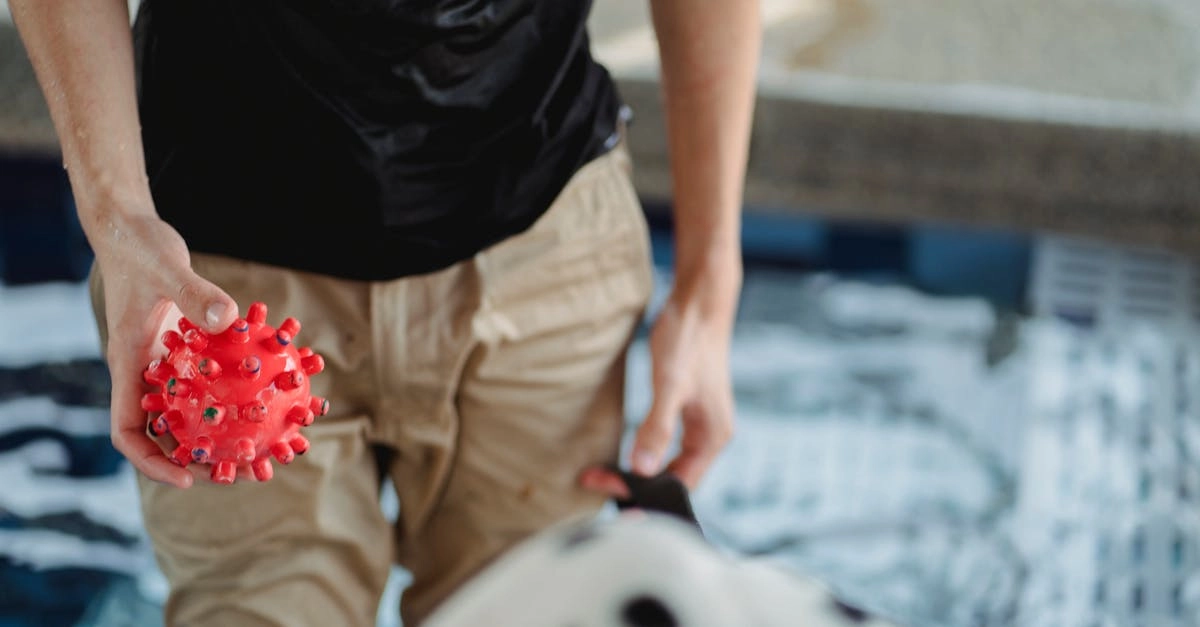 Рулетка-игрушка для активных игр с домашними питомцами