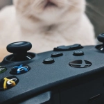 Интерактивные развлечения для развития домашних питомцев