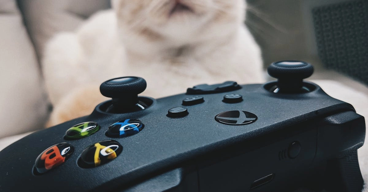 Интерактивные развлечения для развития домашних питомцев