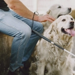 Руководство по выбору программ лояльности без депозита