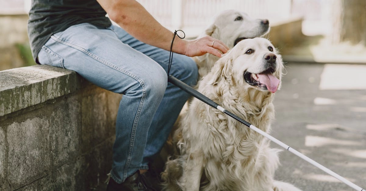 Руководство по выбору программ лояльности без депозита