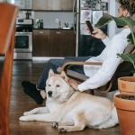 Владелец питомца отдыхает дома рядом с животным