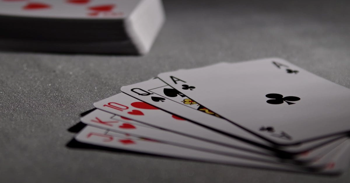 Блэкджек и домашние животные - развлечения для владельцев питомцев