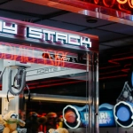 Домашние развлечения для питомцев: игрушки и активности